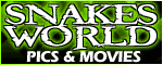 snakesworld.com